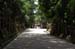 NaraKasugaShrine58