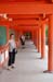 NaraKasugaShrine9