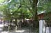 NigatsudoTempleSurroundingBuildings5