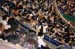 TokyoBaseballGame19
