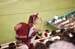TokyoBaseballGame22