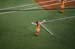 TokyoBaseballGame37