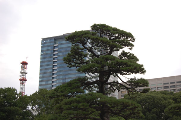 TokyoImperialPalace1