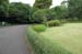 TokyoImperialPalaceGardens8