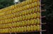 TokyoYasukuniShrinePrayerLanterns1